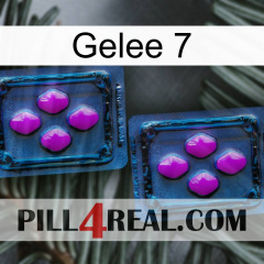 Jelly 7 03